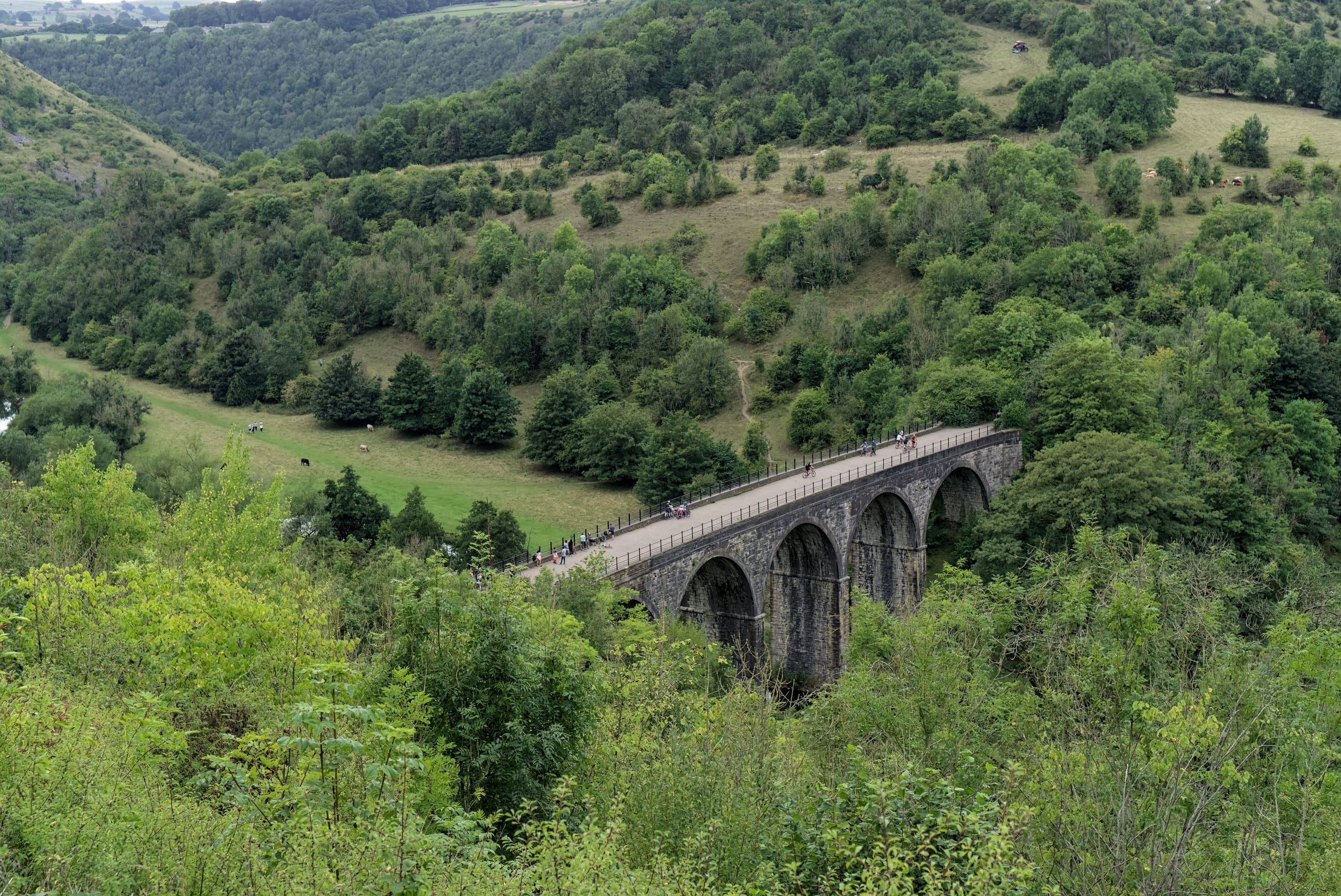 Bridge