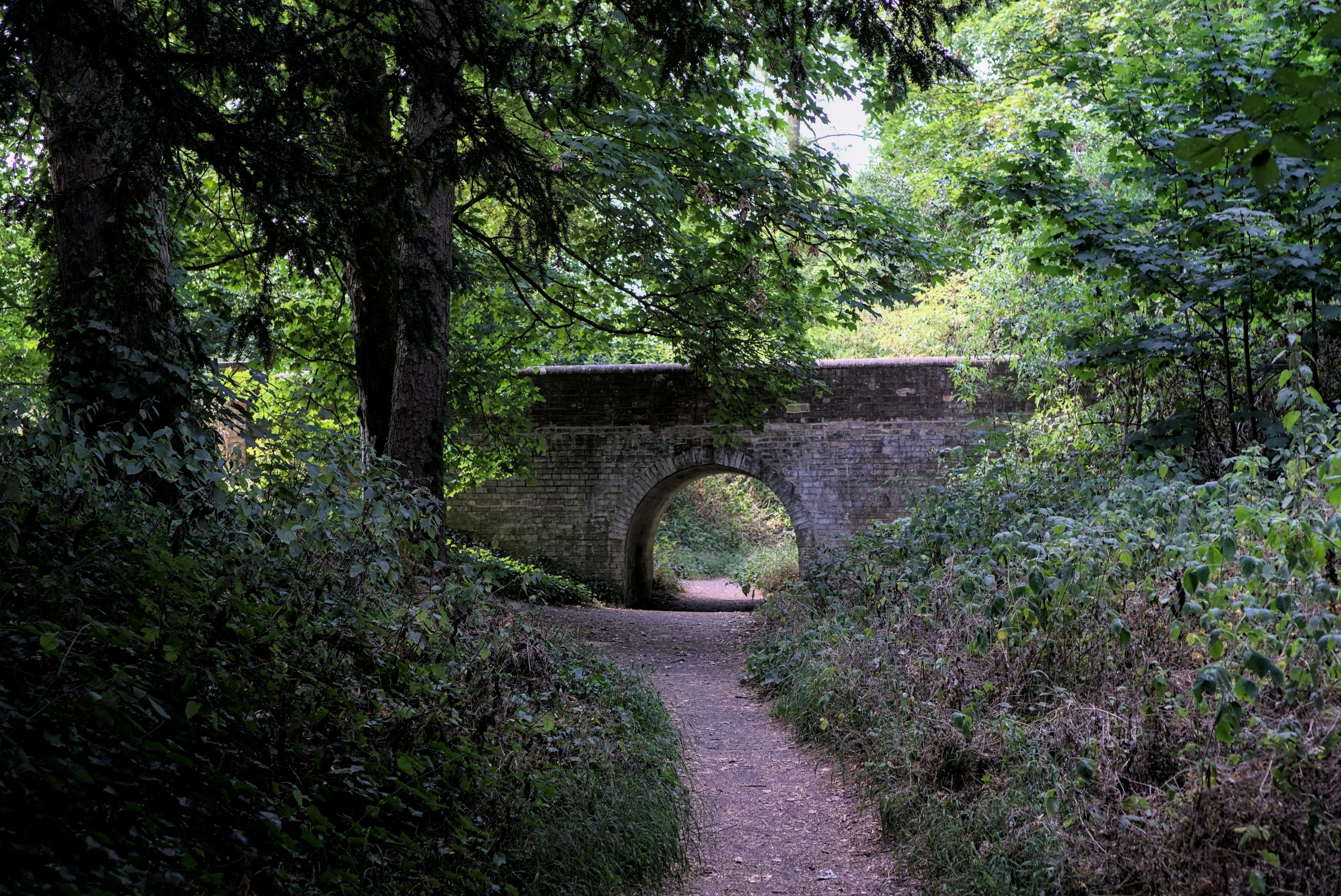 Troll under the bridge?