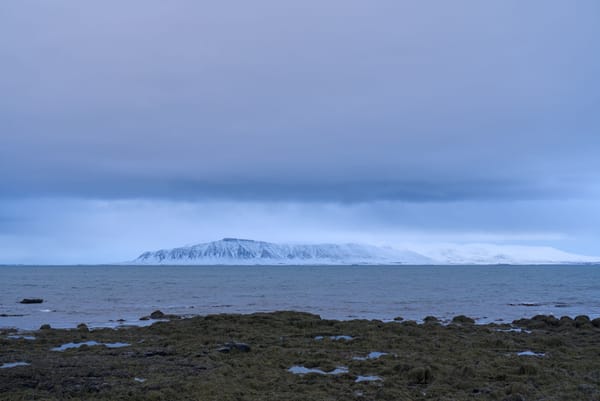 Mountain