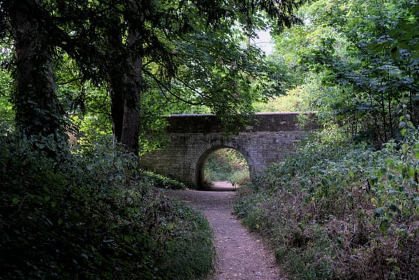 Troll under the bridge?